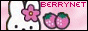 Berrylicious Network!